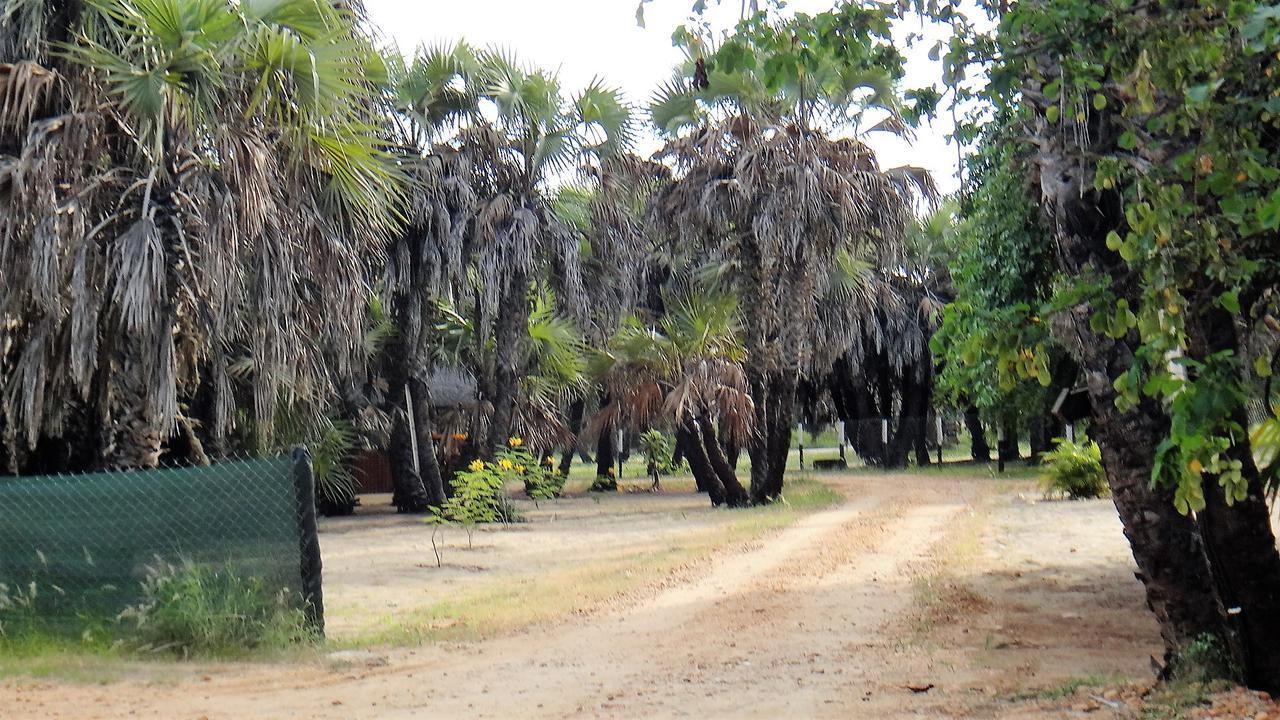 Paridiseos Resort Barra Do Dande Eksteriør bilde